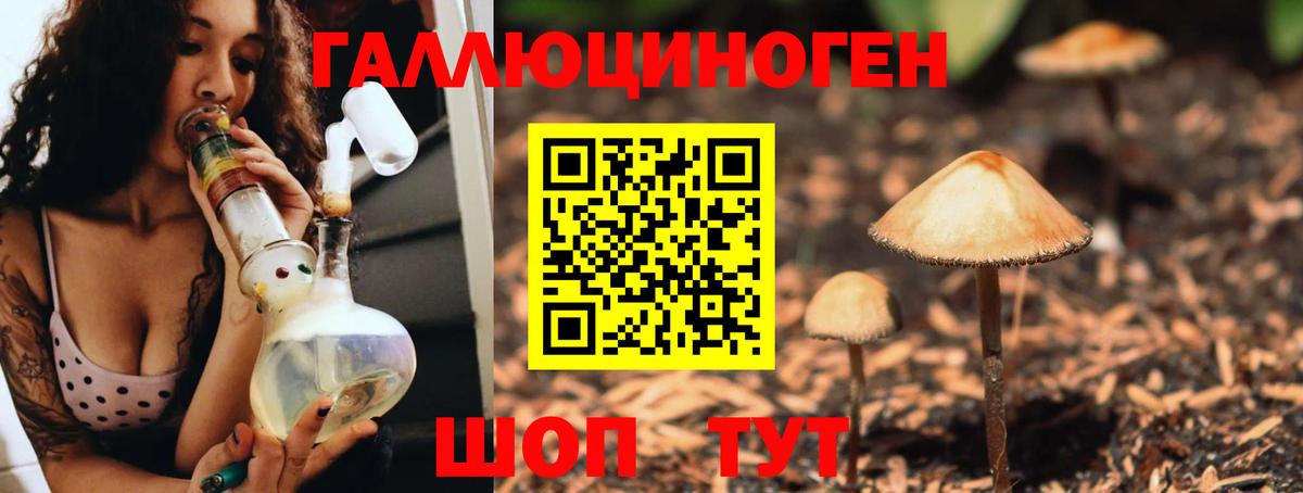 Галлюциногенные грибы Psilocybe  Вход с VPN  купить наркотик  Полысаево  Галлюциногенные грибы GOLDEN TEACHER 